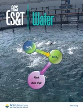 ES&T Water期刊Vol. 1 no.6當期附加封面