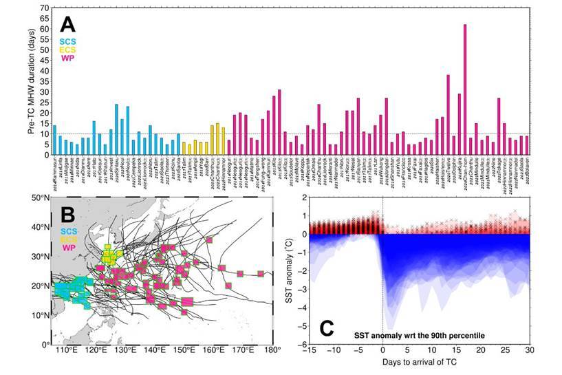 研究團隊進一步分析過去十年85起颱風，發現海表面被颱風每冷卻1°C，海洋熱浪的形成就會延後5-7天。圖片潘任飛教授提供